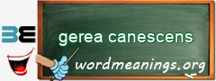 WordMeaning blackboard for gerea canescens